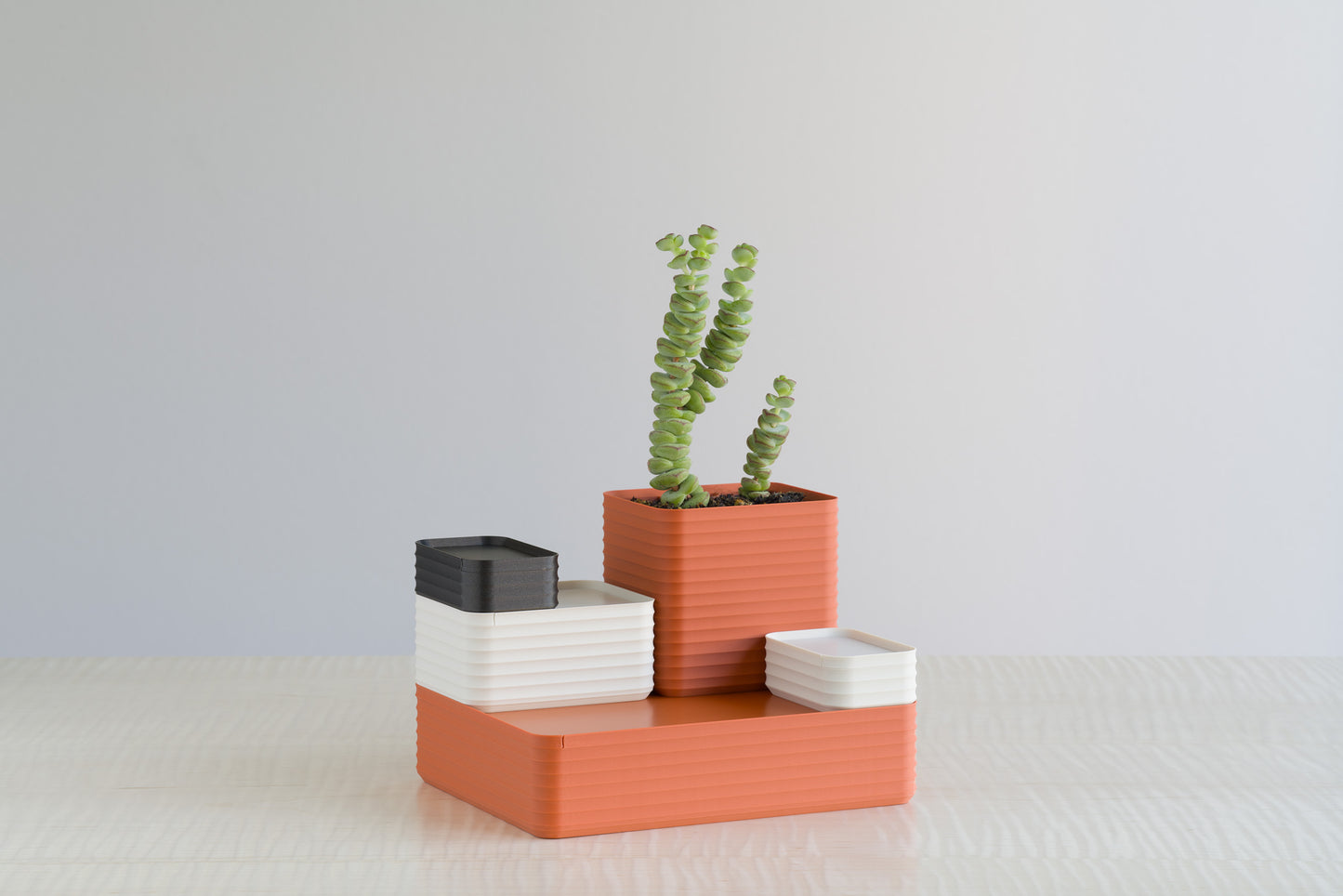 A modern arrangement of Rib Series boxes in iron gray, bone white, and terracotta, styled with a lively green plant on a maple table — an inspiring example of the creative combinations possible with the Z Co Gift Card.