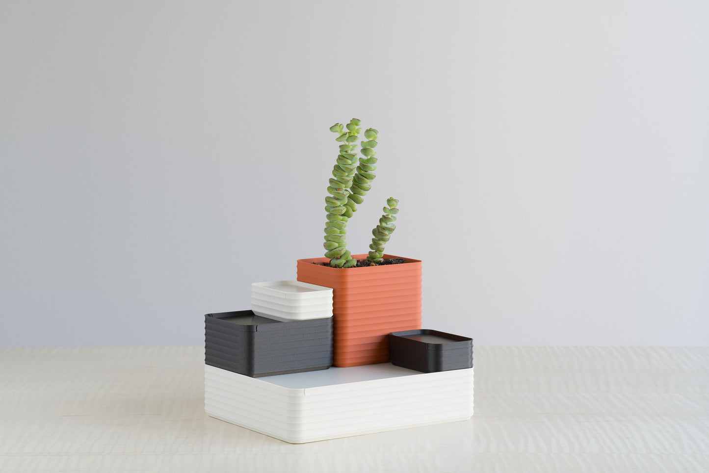 Arrangement of Z Co Rib Series boxes in terracotta, bone white, and iron gray, styled with a tall green succulent plant. The boxes are stacked neatly on a light maple tabletop, creating a modern layered display with warm and neutral tones.