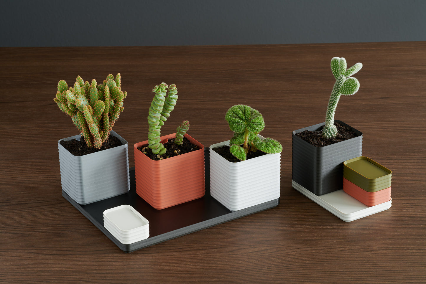 A curated arrangement of Rib Series planters in silver, terracotta, light gray, iron gray, bone white, and army green on a walnut surface, each holding unique plants — showcasing the gift of choice and creativity possible with the Z Co Gift Card.