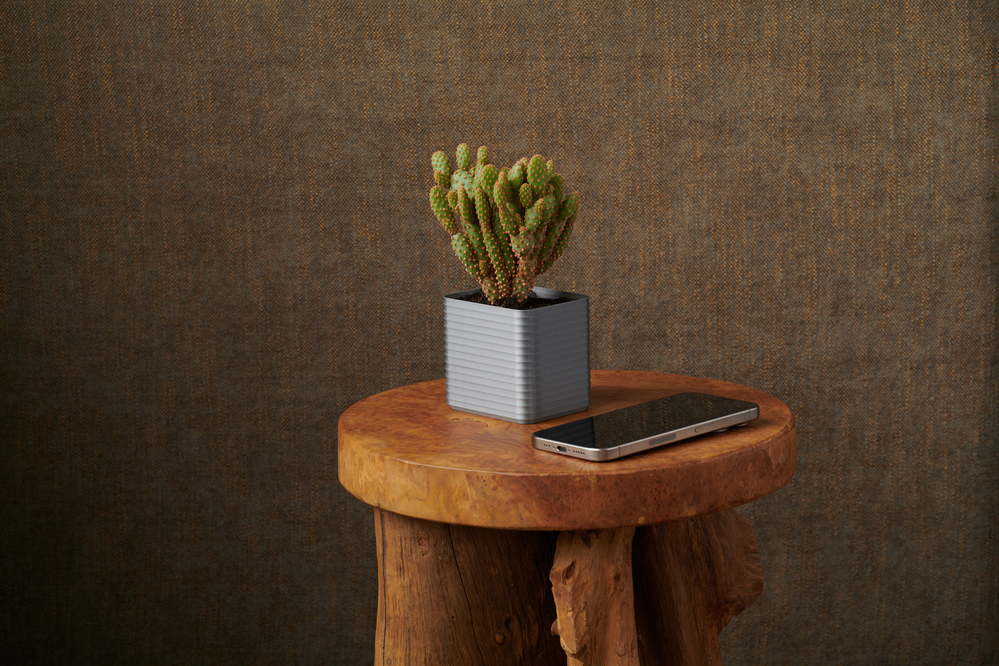 A silver Rib Series planter holding a cactus placed beside a smartphone on a rustic wood stool — illustrating how Z Co Gift Card recipients can mix thoughtful design with everyday life.