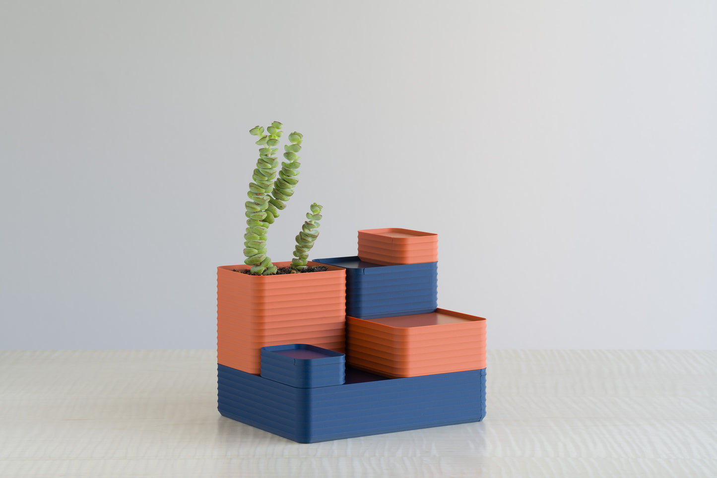 Modern arrangement of Z Co Rib Series boxes in matte dark blue and terracotta, styled with a succulent plant in the tallest box, creating a vibrant color-blocked tiered display on a maple table.