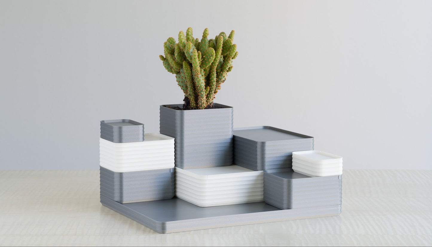 Modern arrangement of Z Co Rib Series Boxes in Silver and White, styled on a maple table with a cactus plant in the silver box.