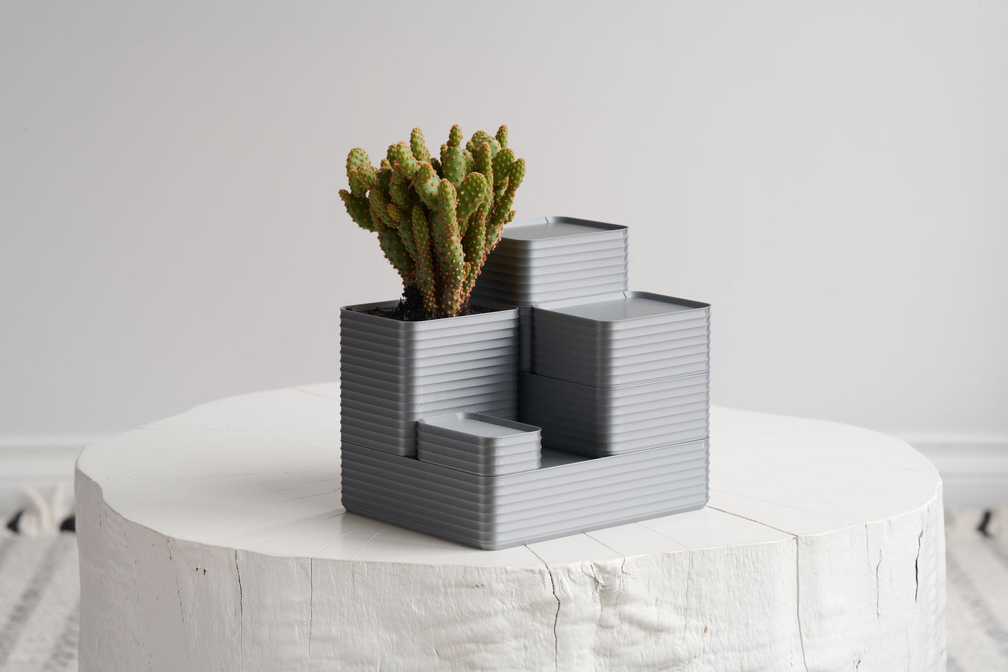 Z Co Rib Series Double-wide silver box with stacked compartments used as a planter arrangement, featuring a cactus, displayed on a white stump table.