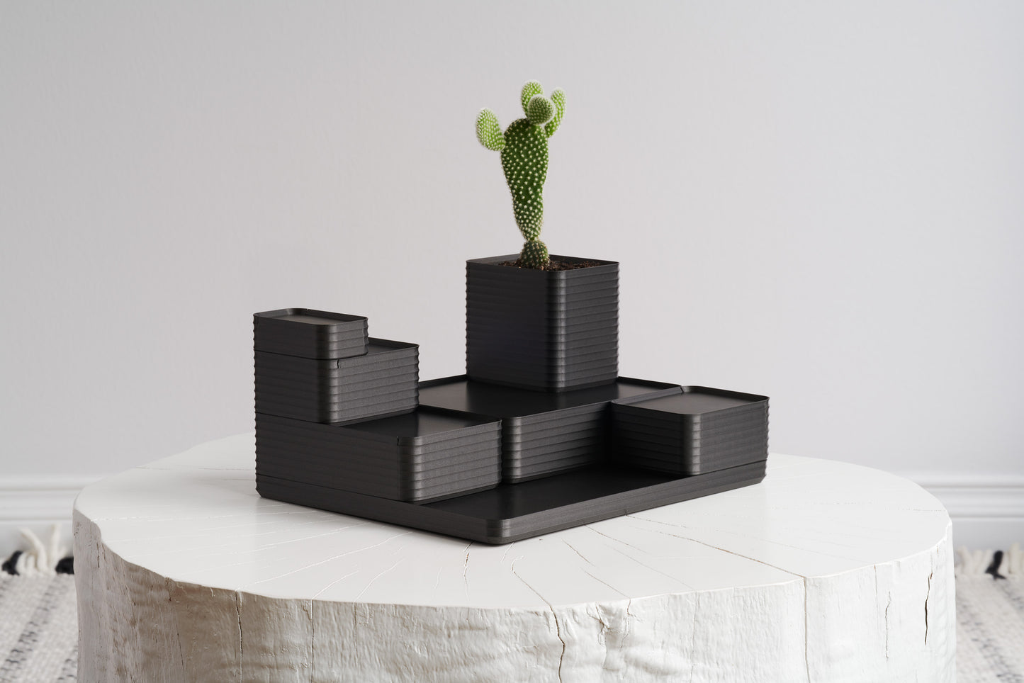 Z Co Rib Series arrangement in metallic iron gray with a live plant, showcasing how the boxes can be styled into personalized modular displays — an inspiring example of what recipients can create with a Z Co Gift Card.