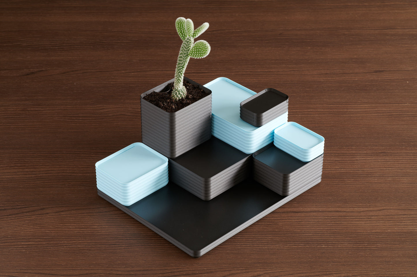 Z Co Rib Series arrangement combining metallic iron gray, and matte ice blue boxes with a small cactus plant. Shown on a walnut table, this modular stepped arrangement highlights the modern design possibilities of Z Co boxes and encourages unique customization with a Z Co Gift Card.