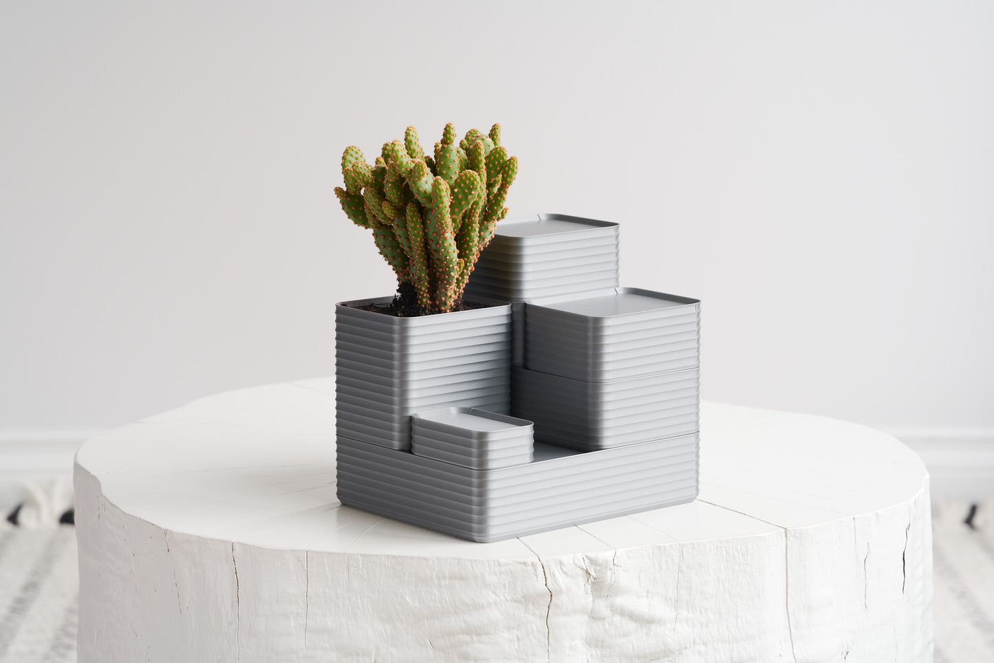 Arrangement of six silver Z Co boxes on white stool with cactus inside planter box