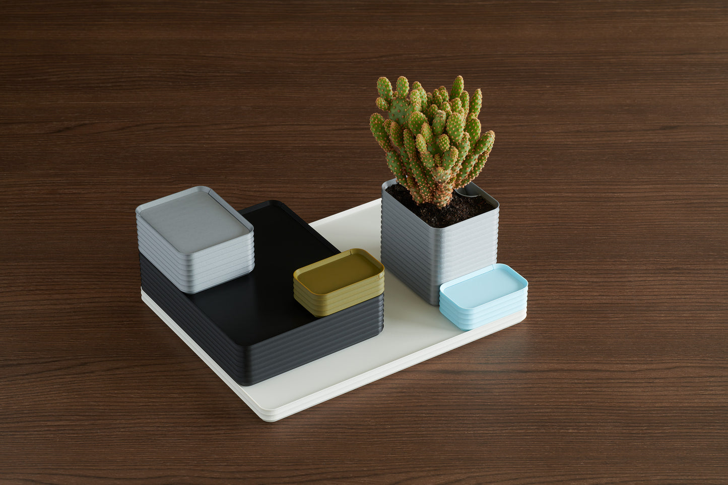 Arrangement of Z Co ribbed boxes in multiple colors on a walnut table, including silver, black, bone white, army green, and ice blue, with one silver box used as a planter holding a cactus.