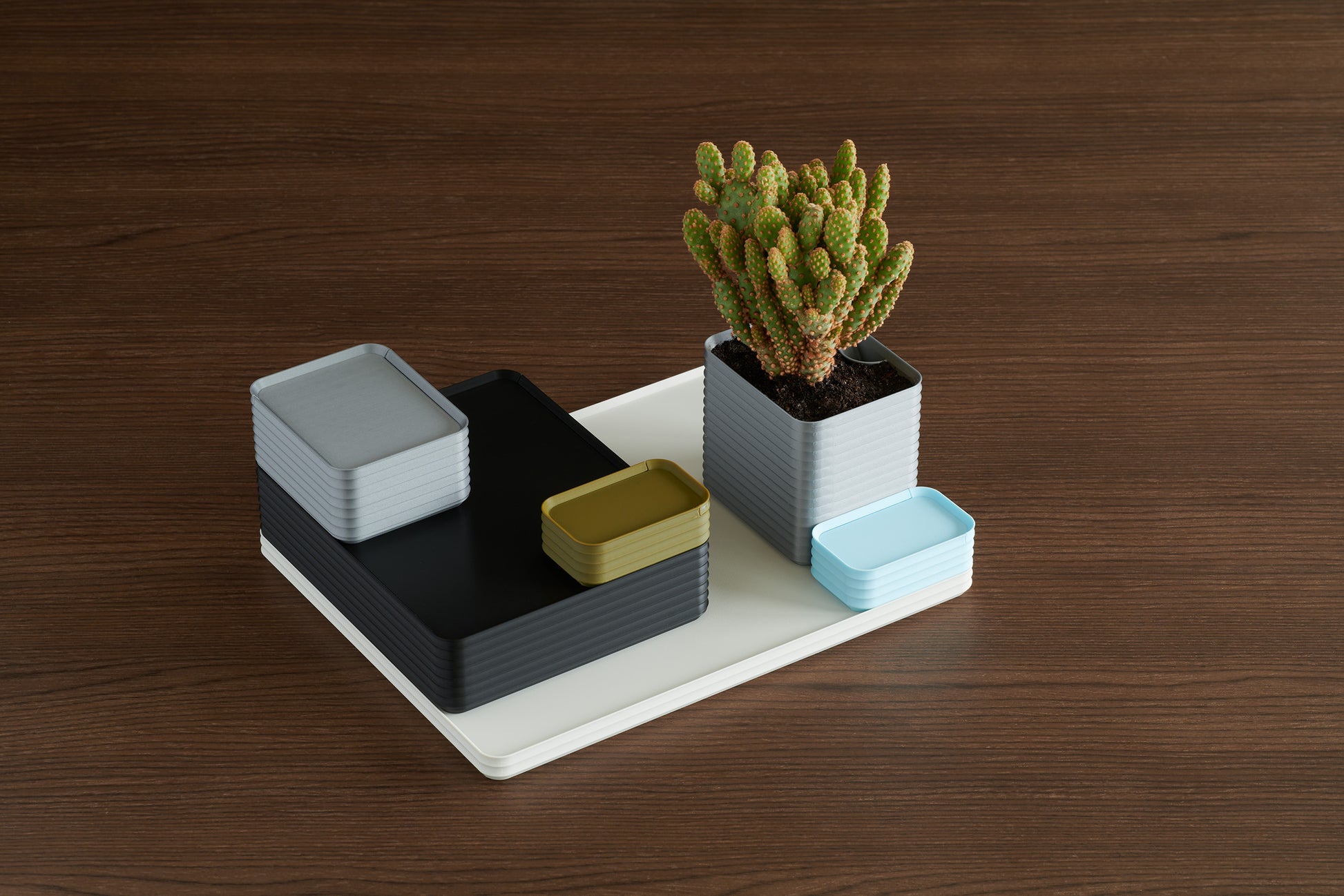 Arrangement of Z Co ribbed boxes in multiple colors on a walnut table, including silver, black, bone white, army green, and ice blue, with one silver box used as a planter holding a cactus.
