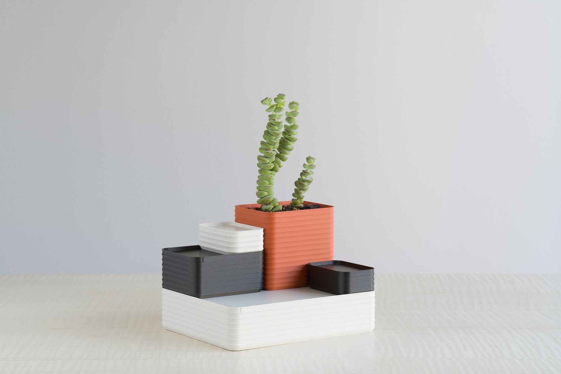 Arrangement of Z Co Rib Series boxes in terracotta, bone white, and iron gray, styled with a tall green succulent plant. The boxes are stacked neatly on a light maple tabletop, creating a modern layered display with warm and neutral tones.