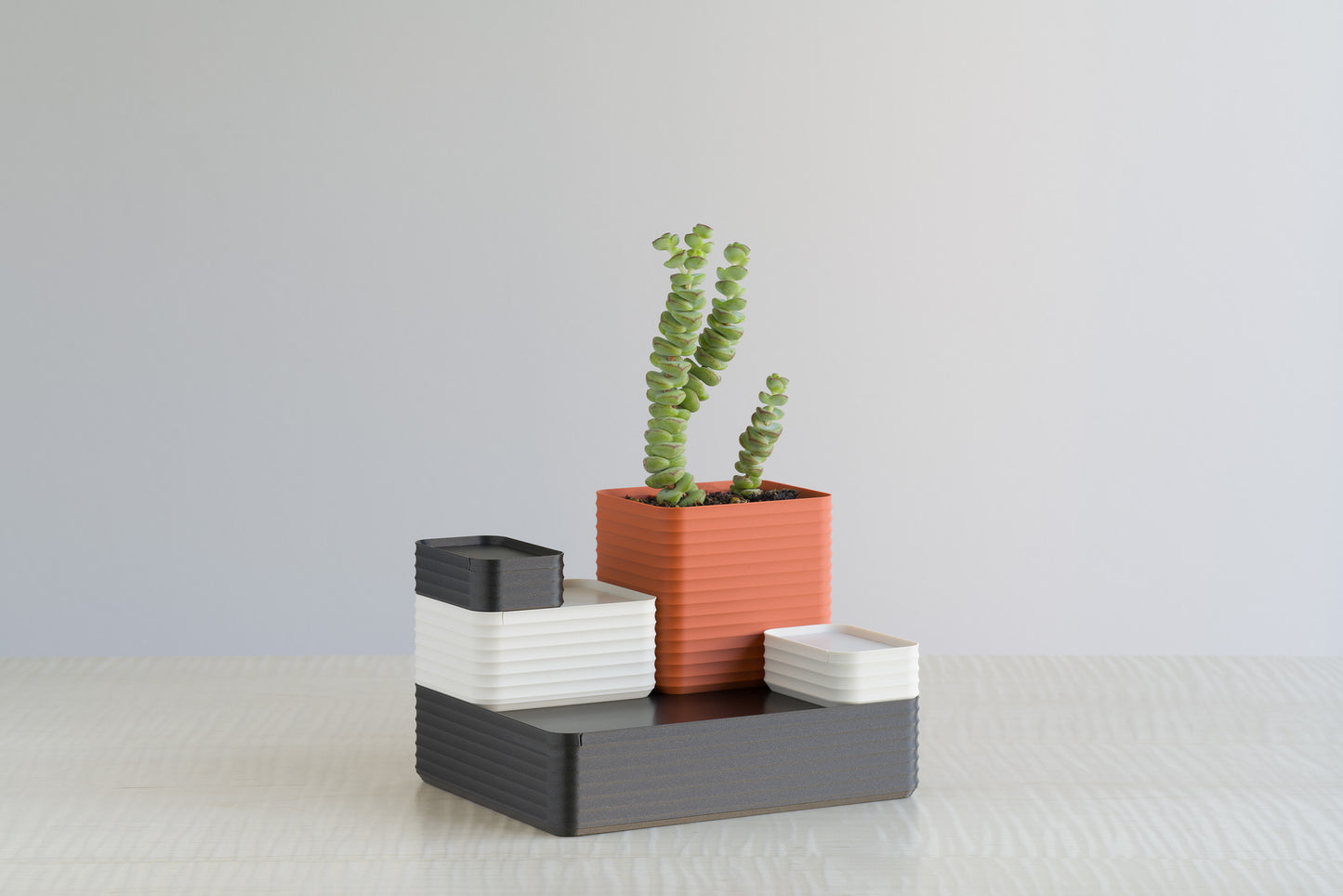 Arrangement of Z Co Rib Series Boxes in Bone White, Metallic Iron Black, and Matte Terracotta, styled on a maple table with a tall green succulent planted in the terracotta box.