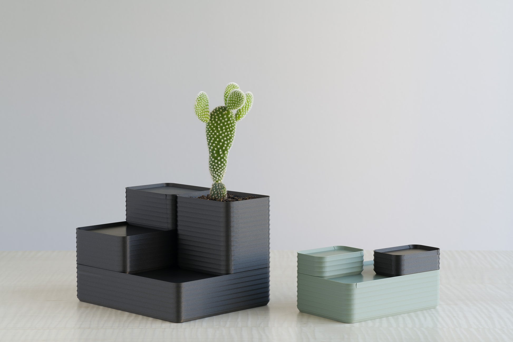 Two stacked arrangements of Z Co Rib Series Boxes in Matte Tranquil Green and Metallic Iron Black Gray, one featuring a cactus plant, styled on a maple tabletop.