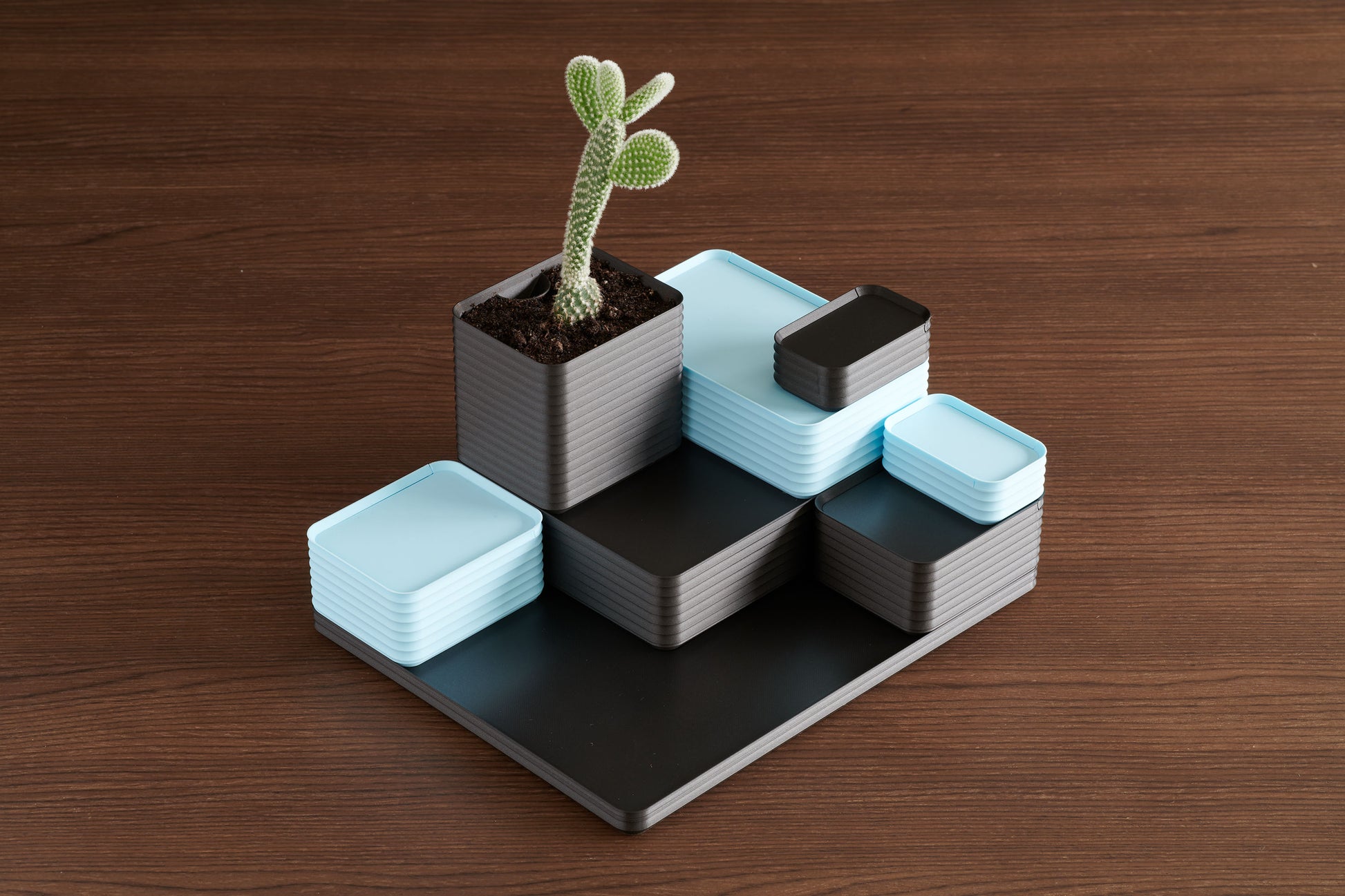Z Co Rib Series arrangement combining metallic iron gray, and matte ice blue boxes with a small cactus plant. Shown on a walnut table, this modular stepped arrangement highlights the modern design possibilities of Z Co boxes and encourages unique customization with a Z Co Gift Card.